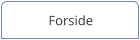 Forside