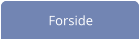 Forside