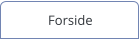 Forside