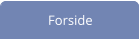 Forside